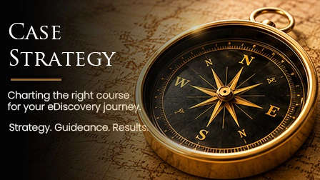 Document Review Strategy